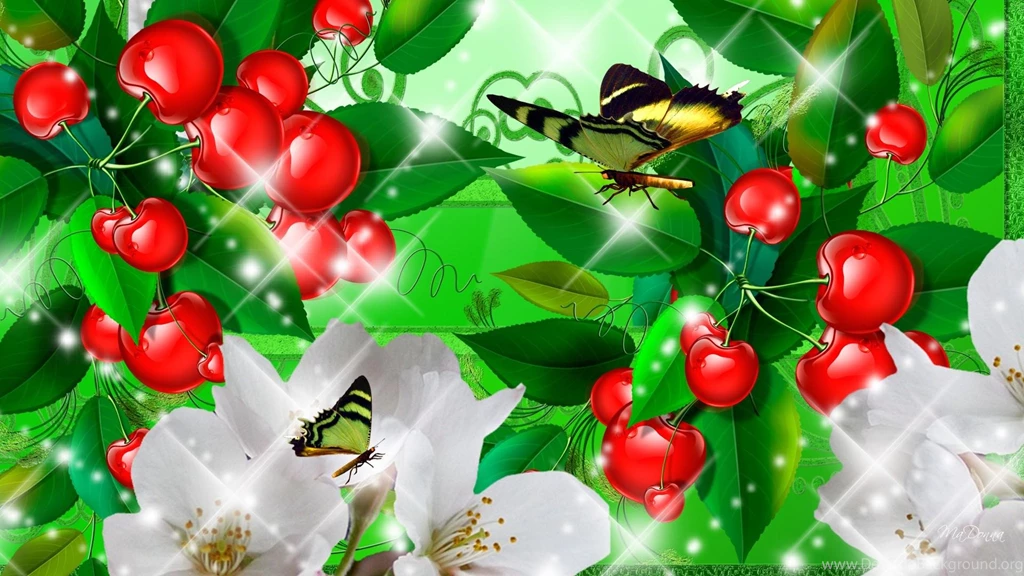 Peaches, Apricots, Plums, Cherries >> HD Wallpaper, Get It Now!