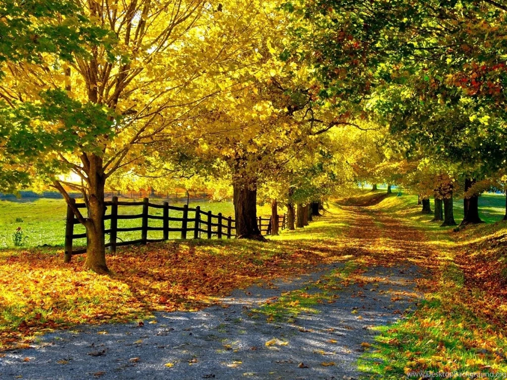 Seasonal Wallpapers For Desktop Wallpapers Cave