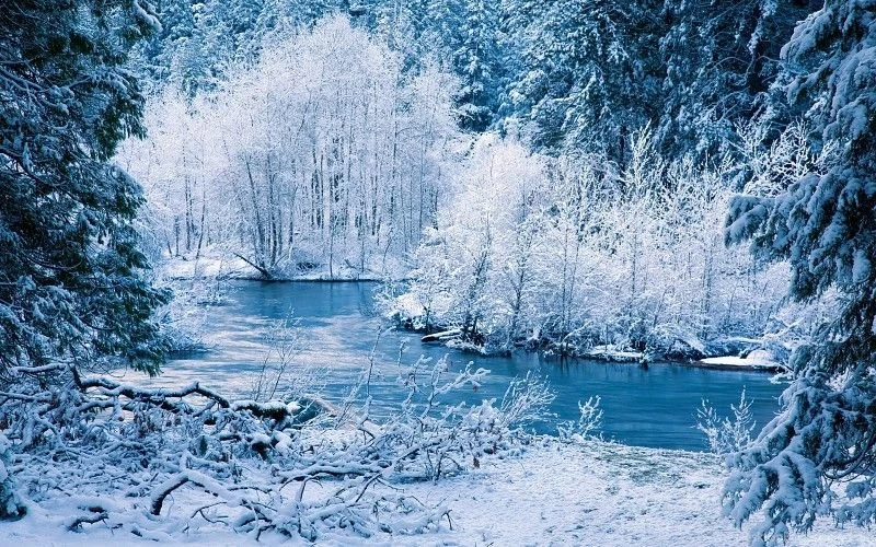Nature Landscapes Winter Snow Frost Rivers Shore Trees Forest ...
