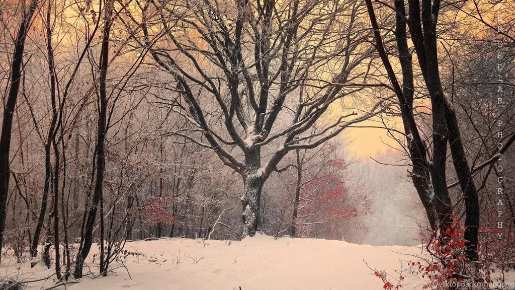 Natural Scenery Seasonal Cycle HD Drop dead Gorgeous Wallpapers ...