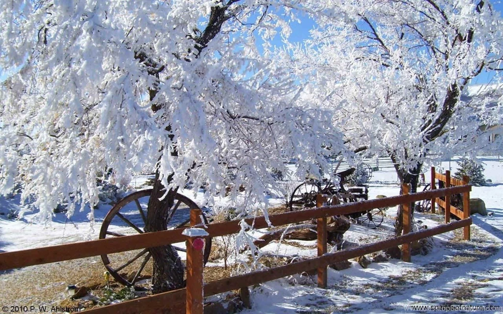 Free Desktop Wallpapers   Seasonal & Holidays   3851 1280x800