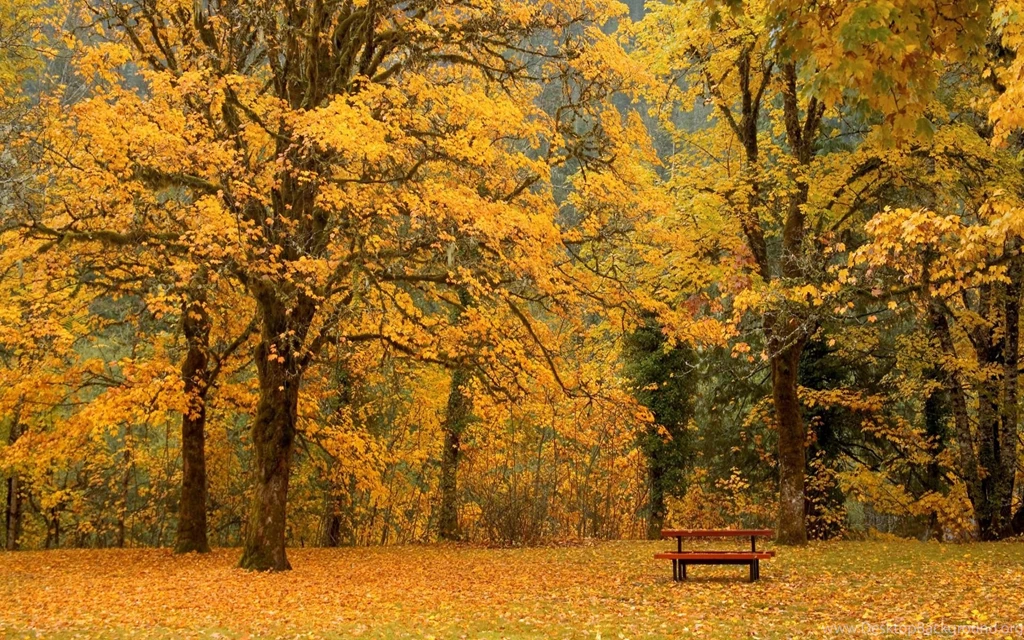 HD Wallpapers Wallpapers Free High definition Desktop Wallpapers ...
