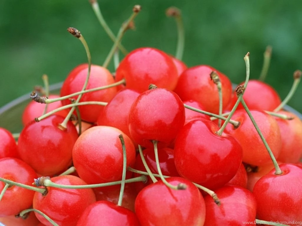 Cherry Fruit Wallpapers Fruit Wallpapers (6333997) Fanpop