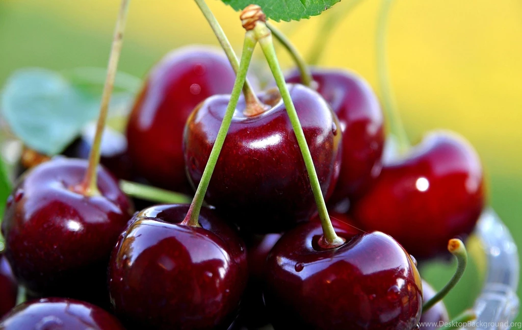 Cherries Computer Wallpapers, Desktop Backgrounds