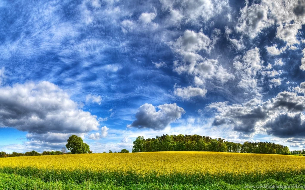 Hd best nature images wallpaperlarge+ +ipad android samsung deskop laptop.jpg