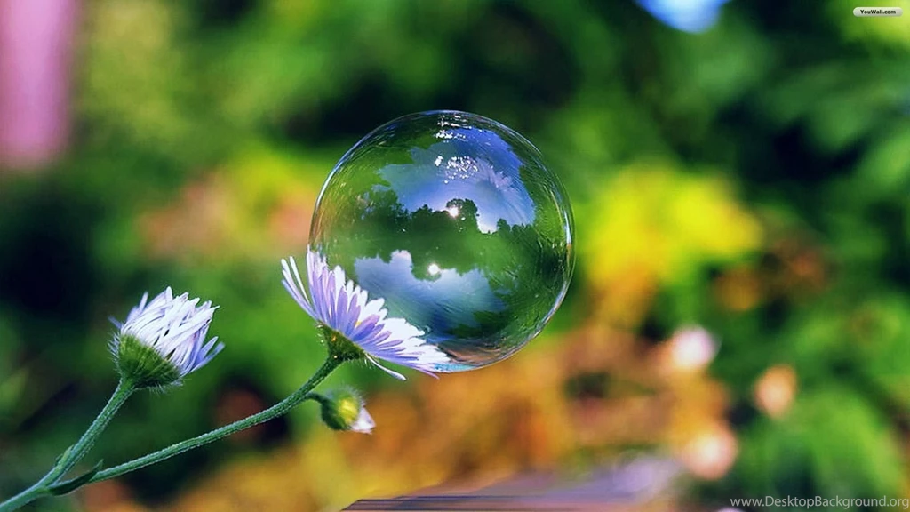 YouWall   Bubble Flower Wallpapers   Wallpaper,wallpapers,free ...
