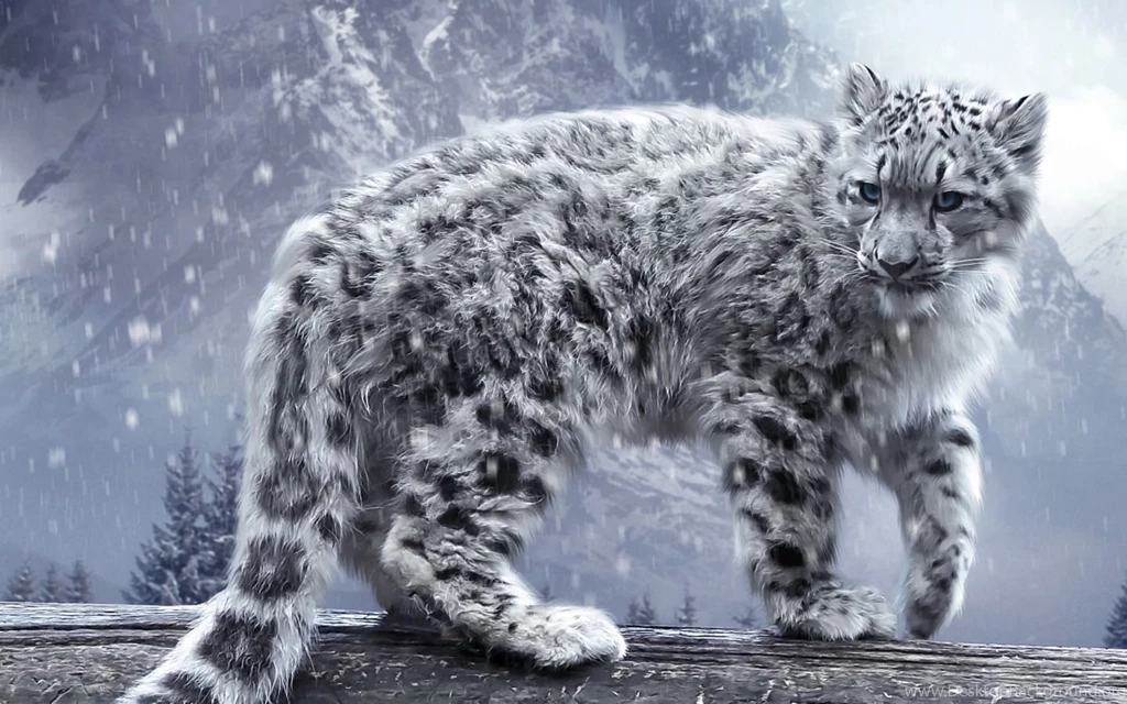 Snow Leopard Animals Wallpapers (33903438) Fanpop
