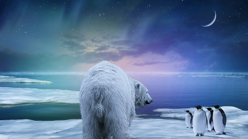 Download Wallpapers 3840x2160 Polar Bear, Penguin, Northern Lights ...