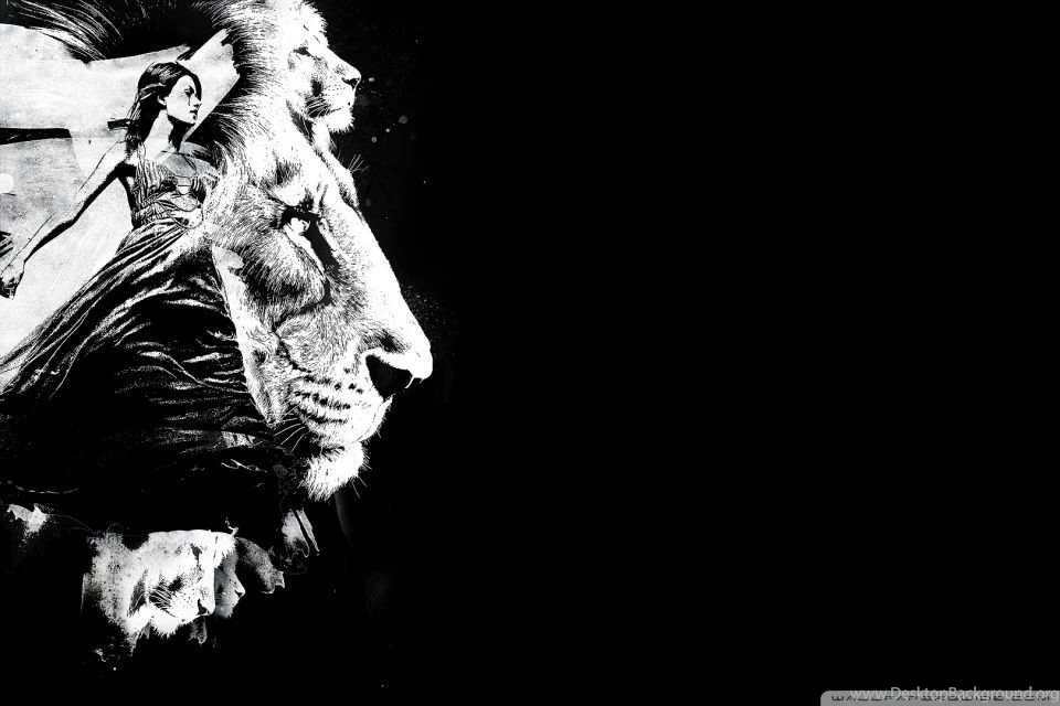 To The Lions HD Desktop Wallpapers : Widescreen : High Definition ...