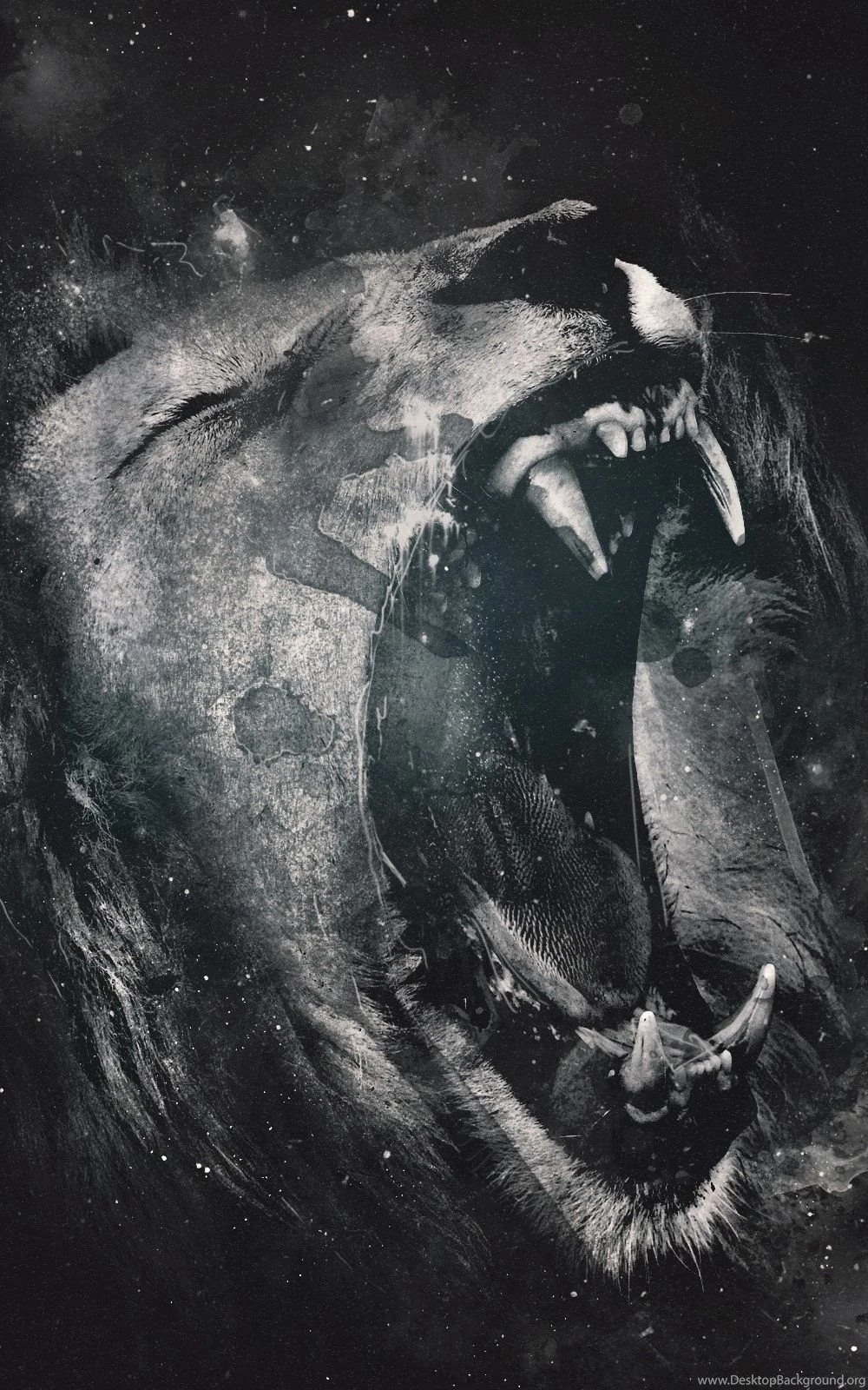 Animals Artwork Lions Mobile Wallpapers Mobiles Wall