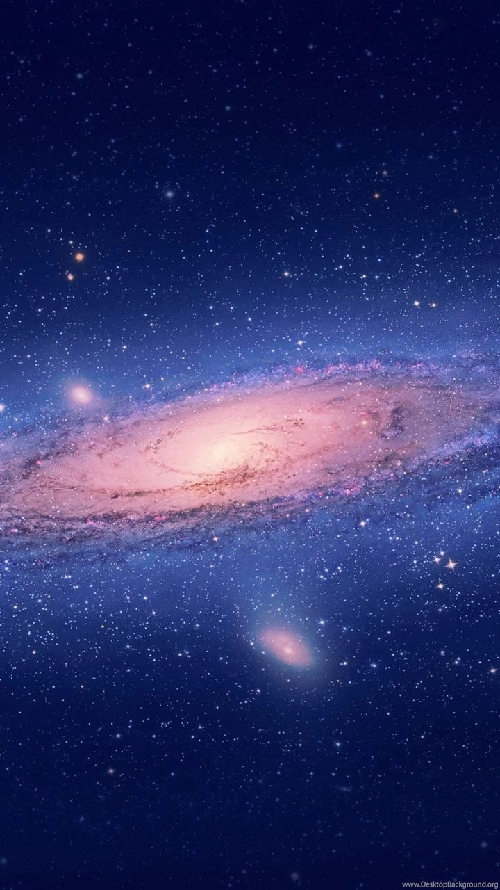 Lion Galaxy Galaxy S3 Wallpapers (720x1280)