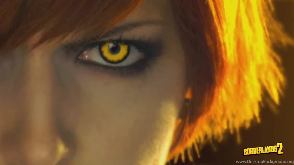 240 Borderlands 2 HD Wallpapers