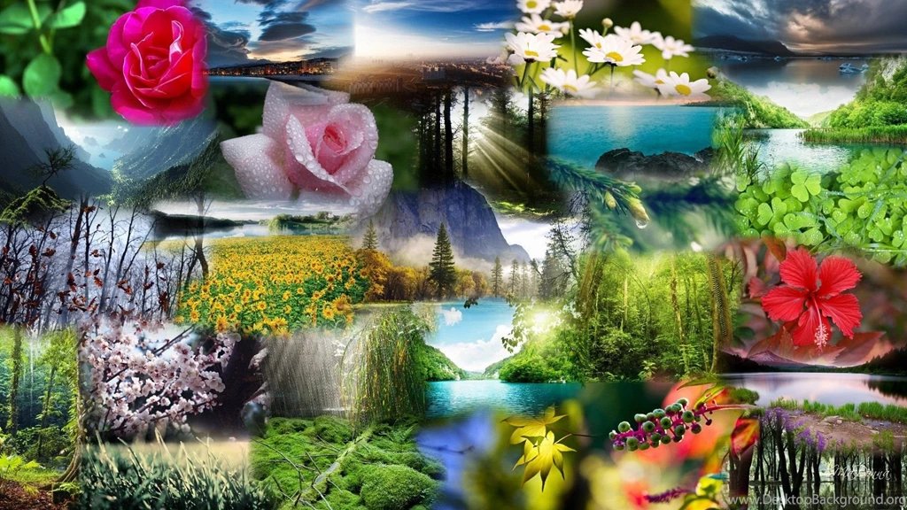 Wallpapers Of Nature Beauty   Wallpapers Cave