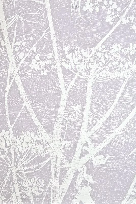 Cow Parsley Wallpapers Lilac Grey