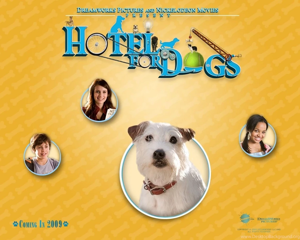 Un Wallpapers Del Film Hotel Bau Con Jake T. Austin, Emma Roberts E ...