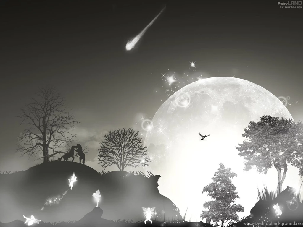 Black White And Grey Wallpapers   Wallpapers HD Base