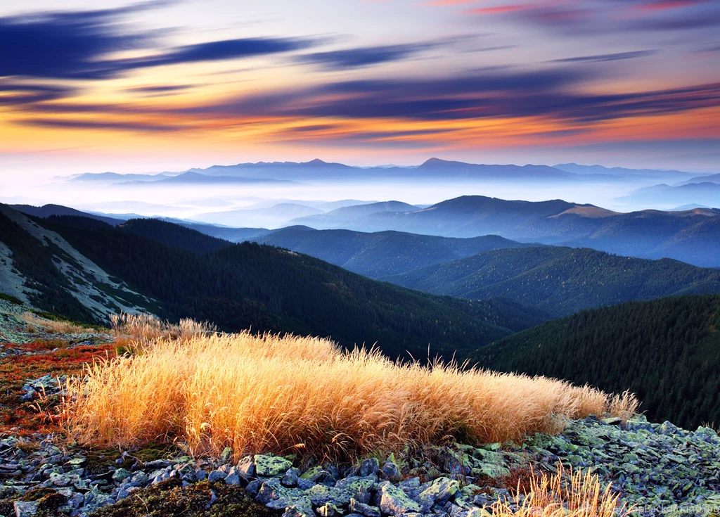 Unknown Title Desktop Wallpapers