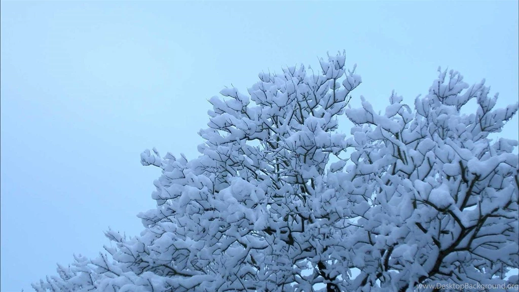 Cute Winter Wallpapers Wallpapers Cave