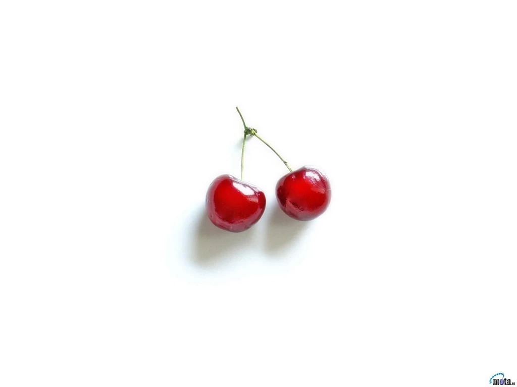 Download Wallpapers Cherry On White Backgrounds (1600 X 1200 ...
