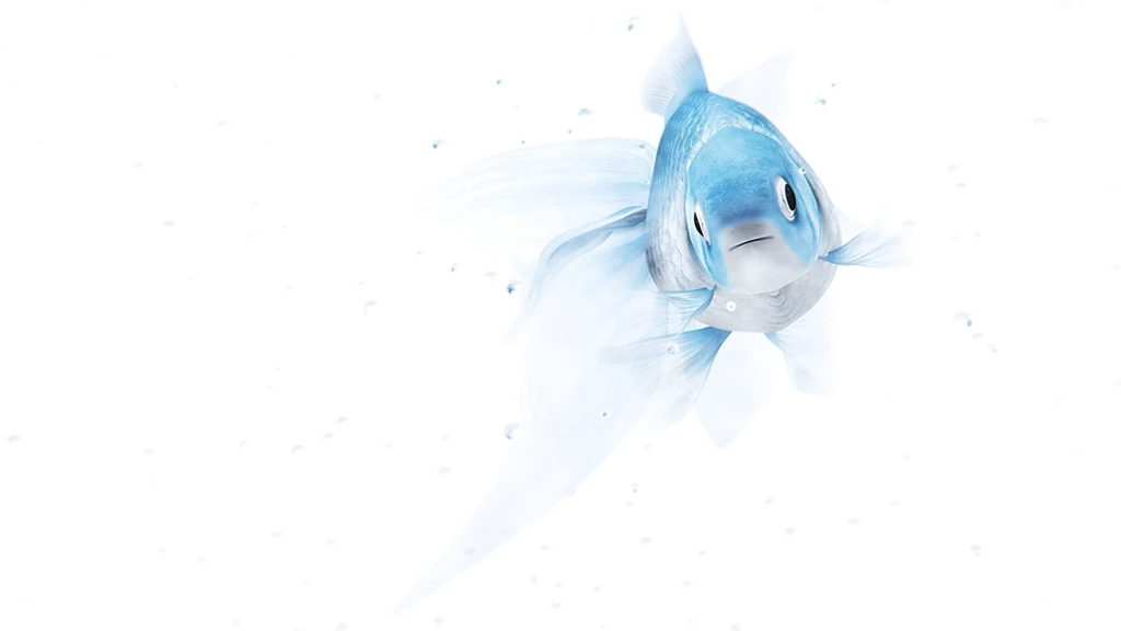 White Background, Fish, Macro Wallpapers And Images Wallpapers ...