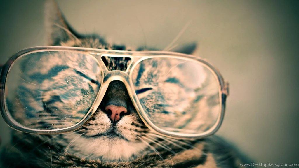 HD Wallpapers (High Definition)