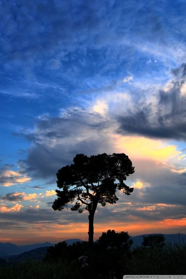 Nature Full HD Wallpapers National Geographic HD Desktop Wallpapers ...