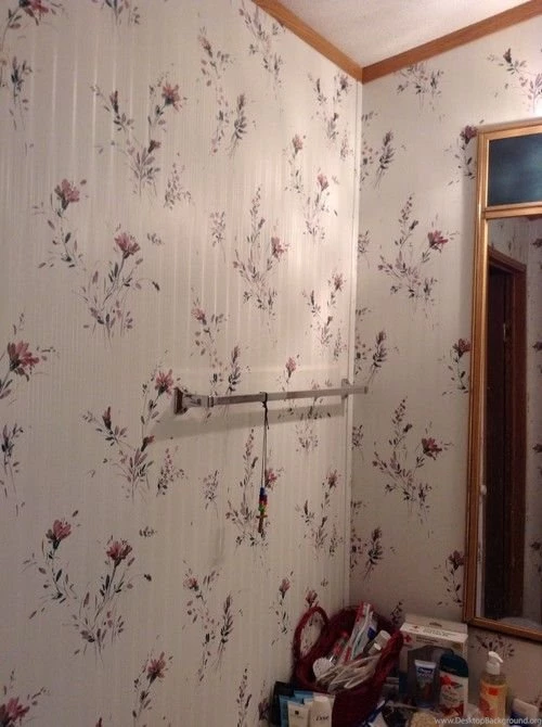 Need Help With Painting Bathroom Walls In Mobile Home