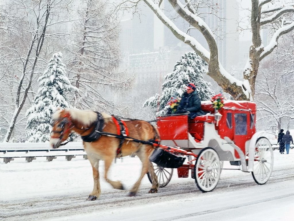 Christmas Scene Wallpapers 2015 Grasscloth Wallpapers