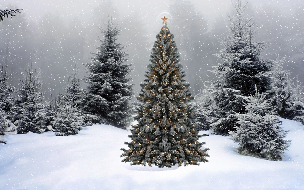 Christmas Snow Scene Wallpapers Wallpapers Cave