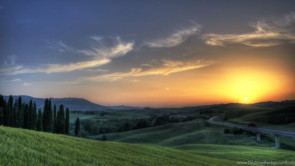 Download Wallpapers 2560x1440 Sun, Rising, Meadows, Fields, Greens ...