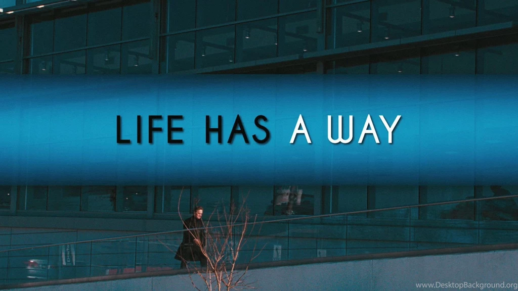 Comedy, Wallpapers, Man, Photo, Solitary (