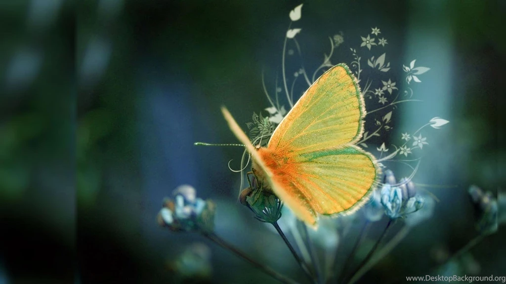Hd 1280×800 PC Backgrounds PC Windows 7 Desktop Backgrounds