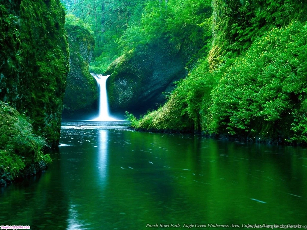 Waterfall Backgrounds