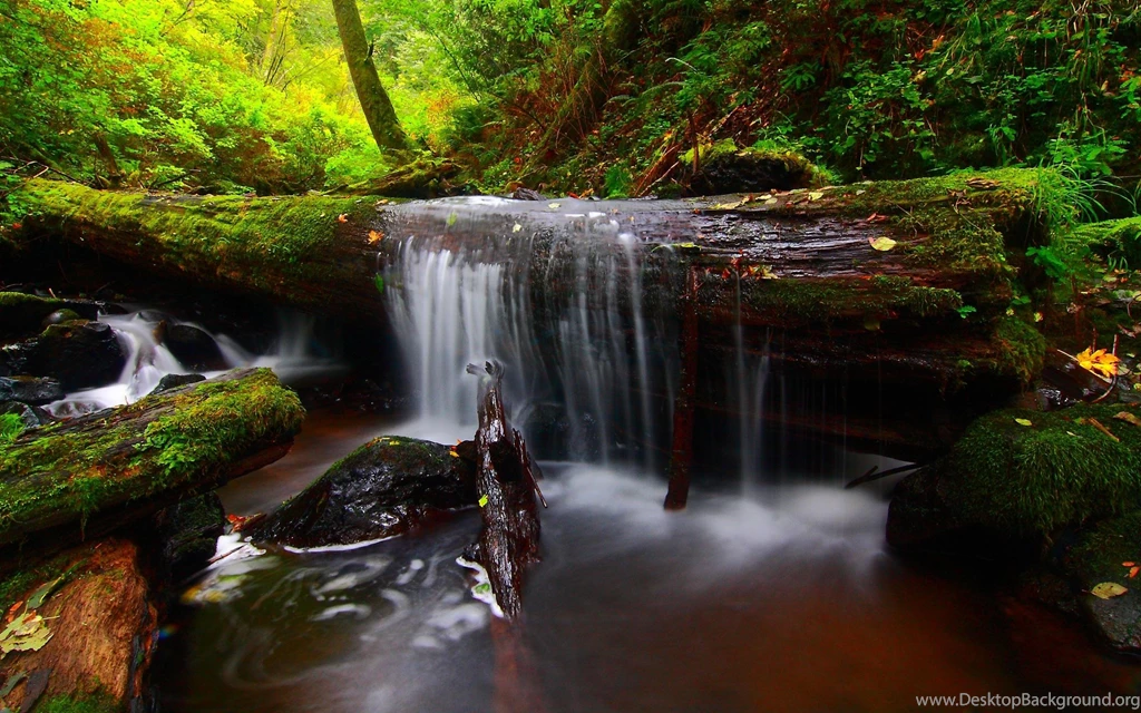 Forest River Timber Waterfall Backgrounds Free >> HD Wallpaper, Get ...