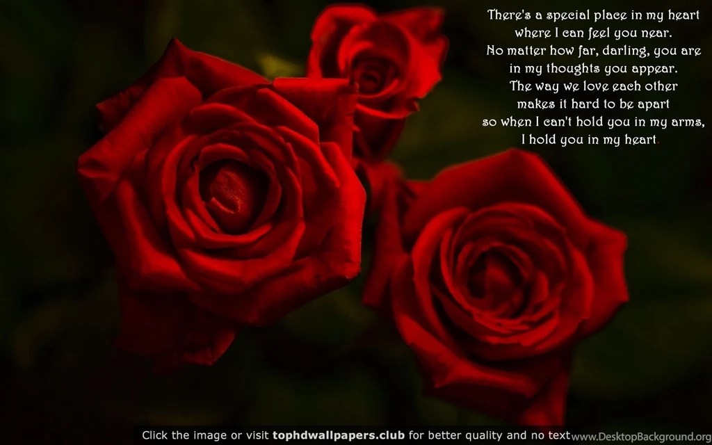 Best Romantic 4K Or HD Wallpapers For Your PC, Mac Or Mobile Device