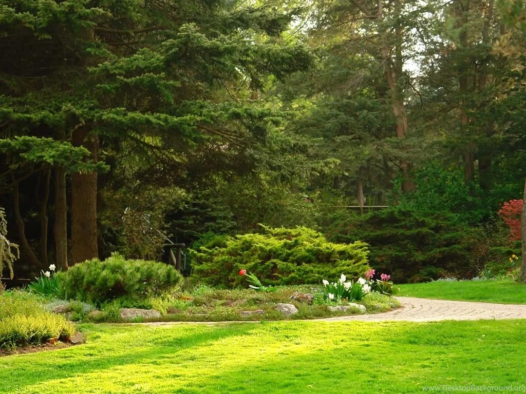 Free Garden Wallpapers For Computer 29 Decor Ideas   EnhancedHomes.org