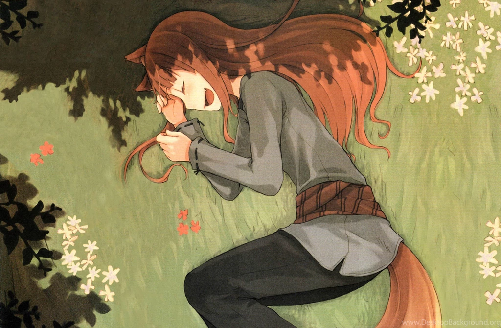 Spice And Wolf Ookami Holo The Wise Wallpapers   (