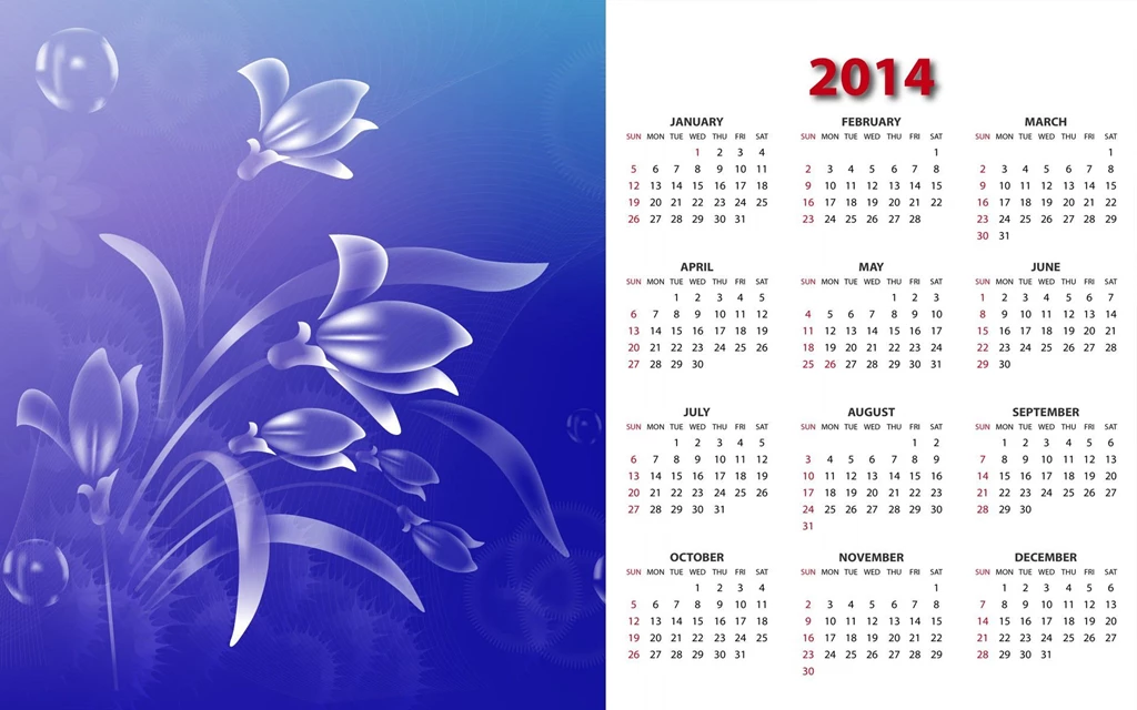 Abstract Spring Flower HD New Images Of 2014