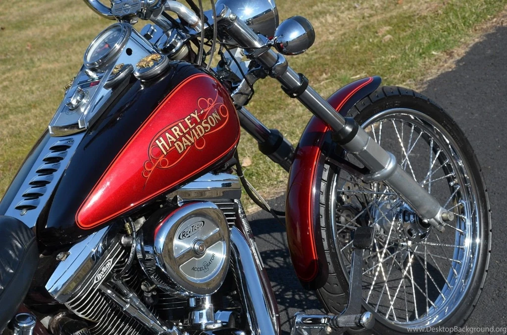 Motorcycles: 1987 Evolution Harley Davidson Softail Custom FXSTC ...