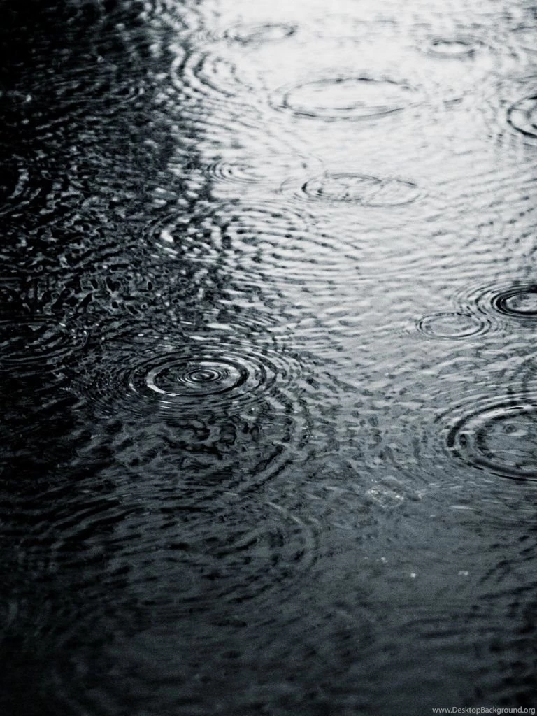 768x1024 Grayscale Rain Ipad Mini Wallpapers