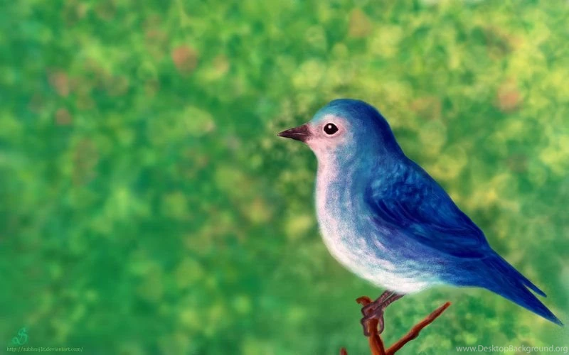 Liitle Blue Bird Wallpapers By SubhrajitDatta On DeviantArt