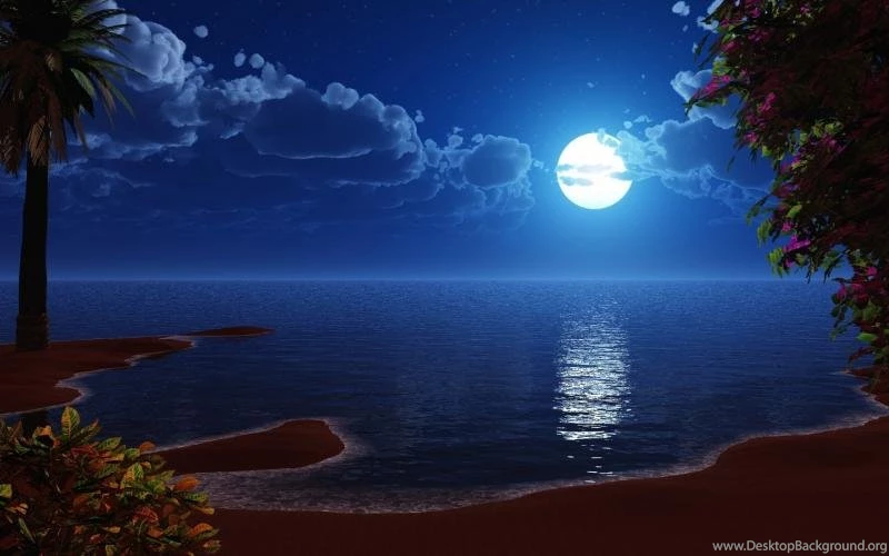 Moon Reflecting In The Calm Oceans Wallpaper,digital Art HD ...