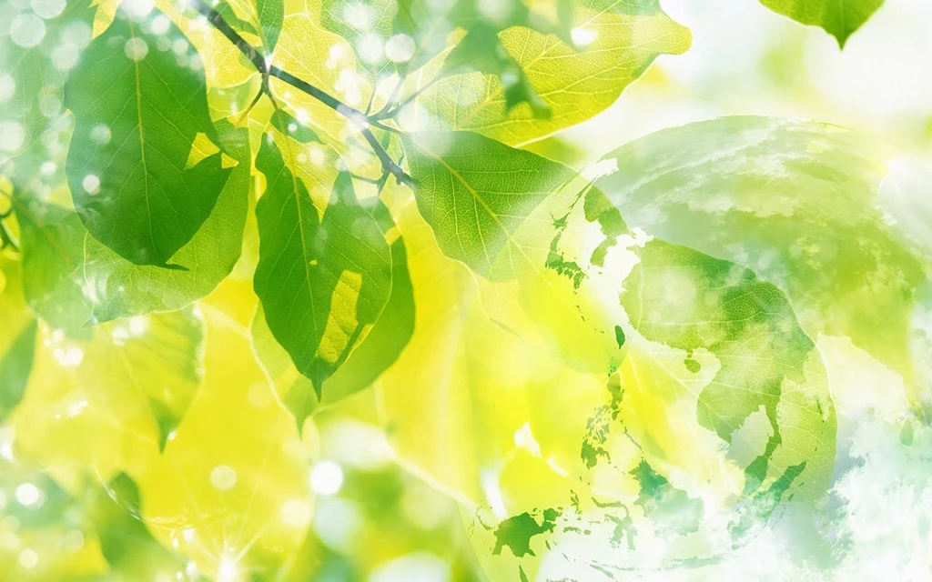 HD Best Desktop Wallpapers: Art Wallpapers Digital Nature