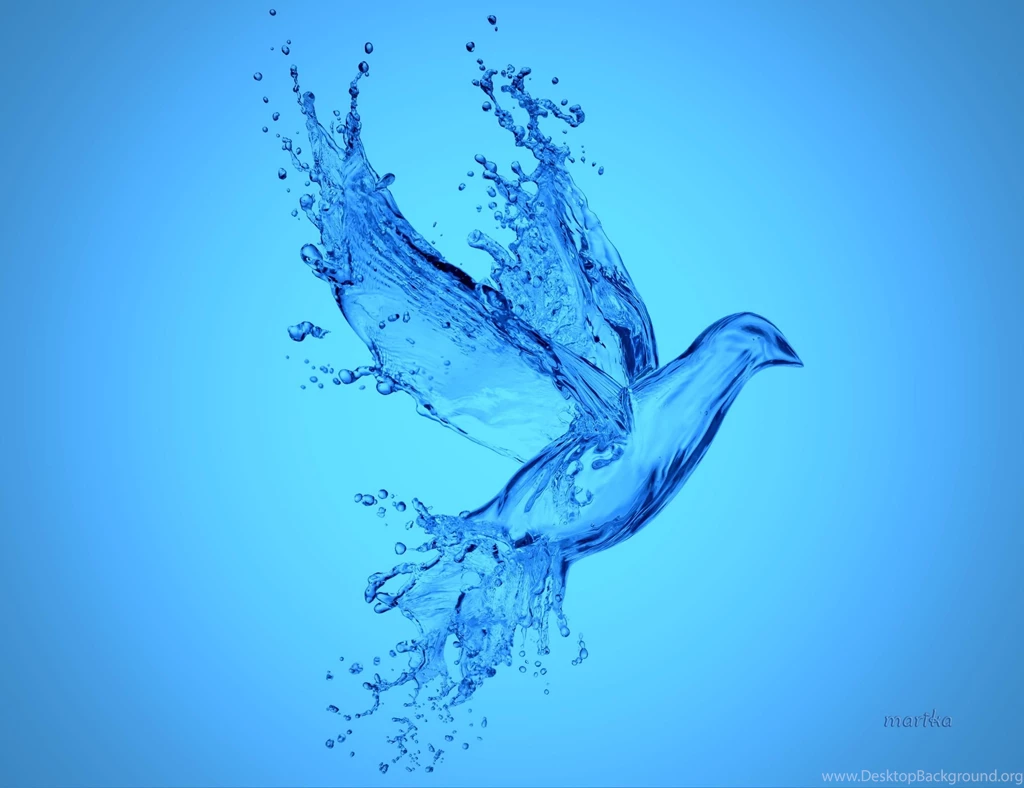Aqua Bird >> HD Wallpaper, Get It Now!