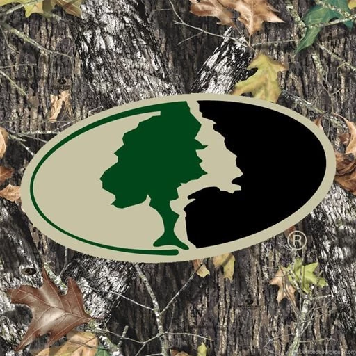 Hunting On Pinterest