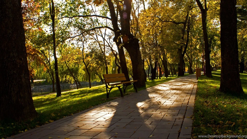 Alley In A Park Wallpapers Photography Wallpapers