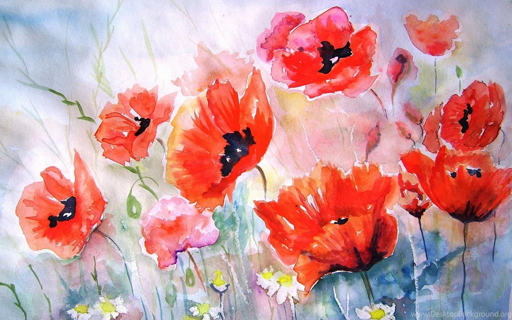 Poppies Flower Art Painting Bokeh Wallpapers
