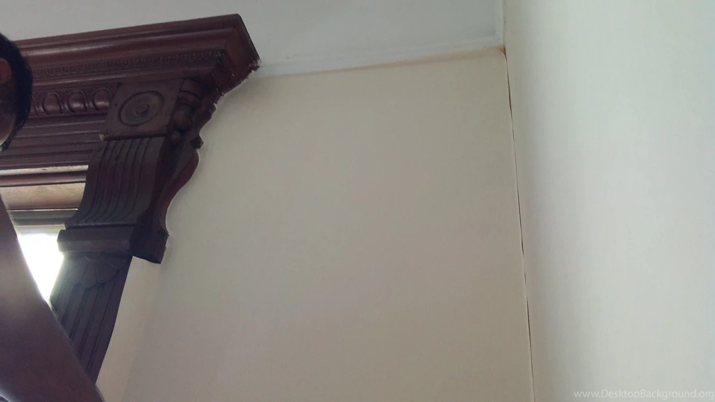 Getting Ready For Ralph Lauren Wallpapers