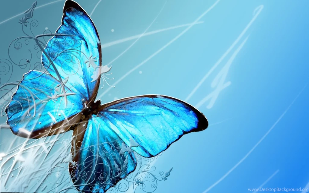 Butterfly Wallpapers HD