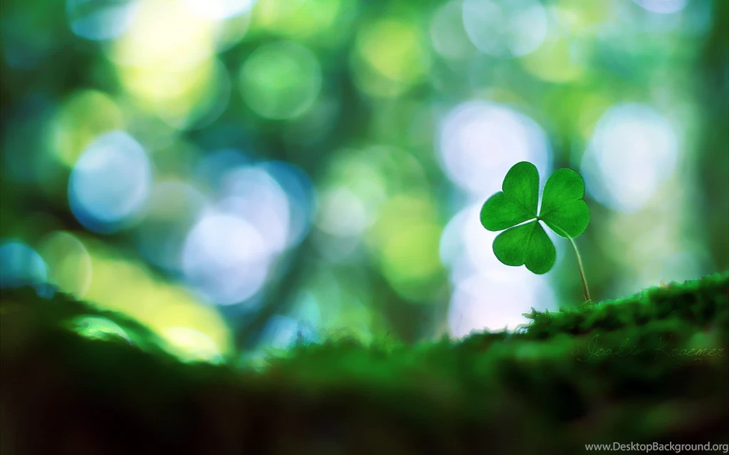 Shamrock